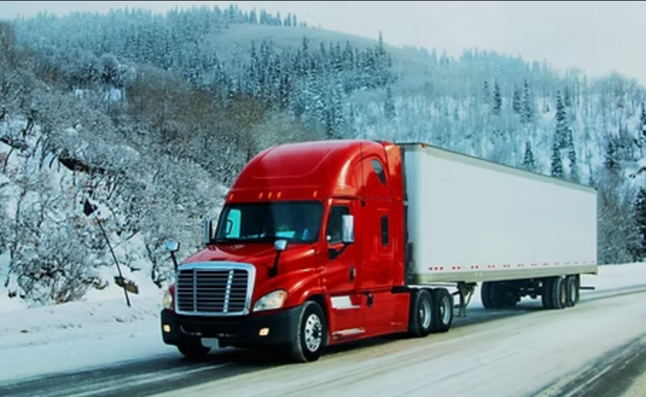 50/50 y concentrado.